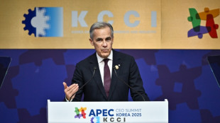 Xi invite Carney &agrave; se rendre en Chine, signe de d&eacute;tente entre P&eacute;kin et Ottawa