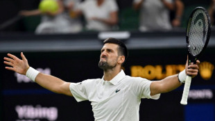 Djokovic, Sinner aim to step up Wimbledon title chase