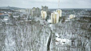 Bundesgerichtshof: Mieter darf mit Untervermietung keinen Gewinn machen