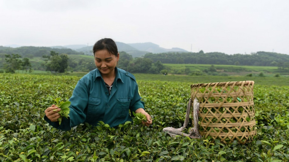 El FMI prev&eacute; un menor crecimiento mundial en medio de la desaceleraci&oacute;n en EEUU y China