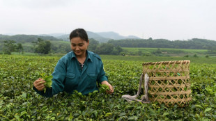 El FMI prev&eacute; un menor crecimiento mundial en medio de la desaceleraci&oacute;n en EEUU y China