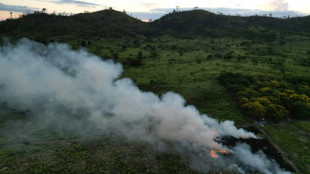 World leaders launch fund to save forests, get first $5 bn