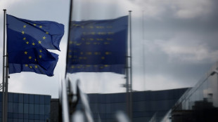 El mayor partido pol&iacute;tico de la UE pide flexibilizar la meta sobre el fin de los autom&oacute;viles con motor de combusti&oacute;n interna