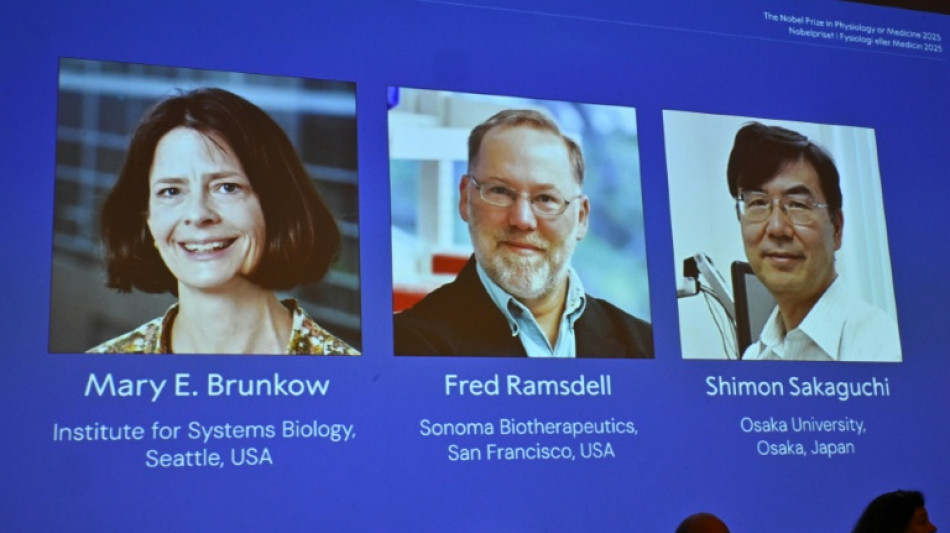 Drei Immunforscher aus den USA und Japan mit Medizin-Nobelpreis geehrt