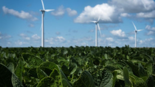 Trump will Bau neuer Windr&auml;der in den USA unterbinden 