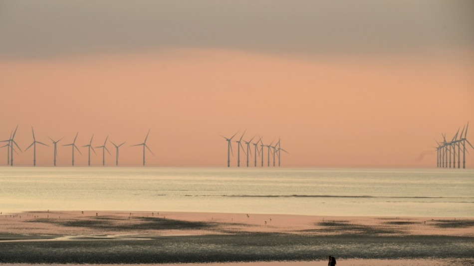 UK unveils &pound;11 bn windfarm investment by UAE, German firms
