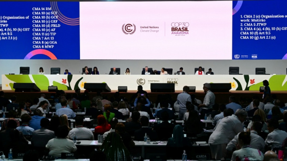 EU must be 'less naive' in COP climate talks: French ministry