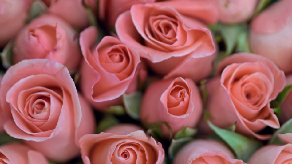 Des bouquets de fleurs contamin&eacute;s par les pesticides, selon UFC Que Choisir