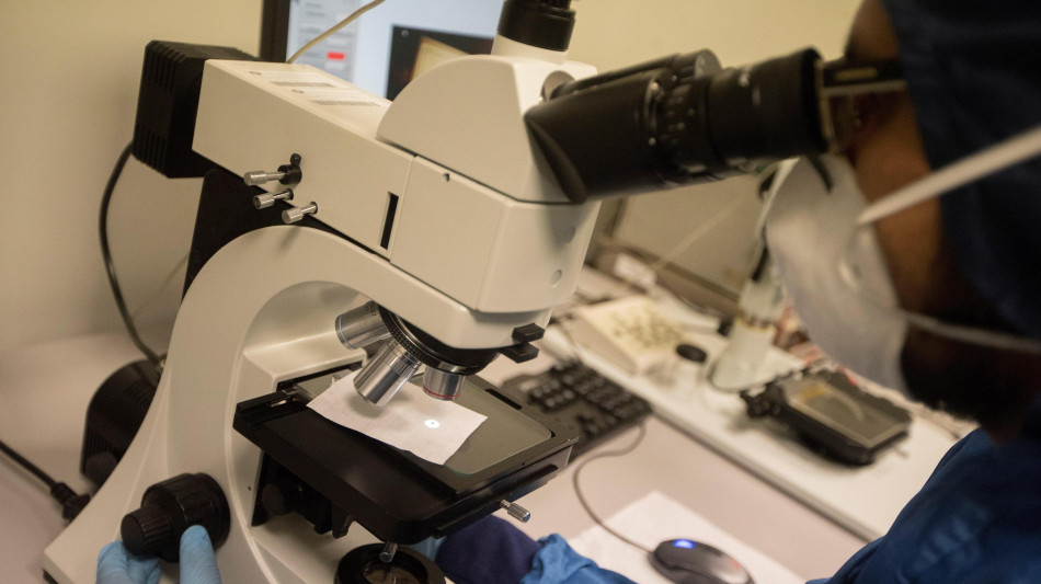 Bando Telethon-Cariplo, finanziati 26 progetti per 3,6 Mln euro