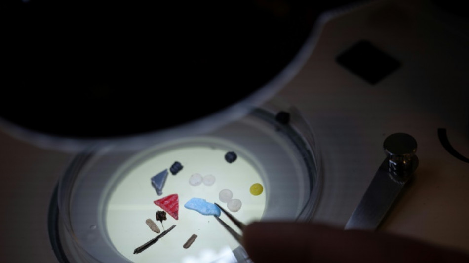 Studie: Zustand europ&auml;ischer Fl&uuml;sse wie Elbe und Seine wegen Mikroplastik "alarmierend"