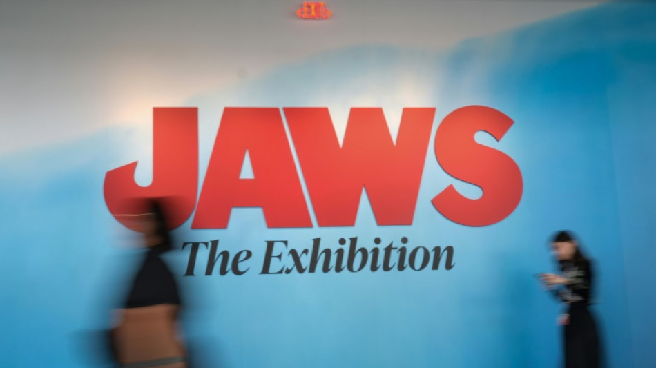 Something to get your teeth into: 'Jaws' exhibit marks 50 years