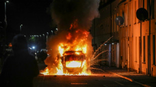 Violences en Irlande du Nord: six arrestations, 17 policiers bless&eacute;s