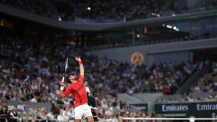 Djokovic races into French Open fourth round in 'fun night to be in Paris'
