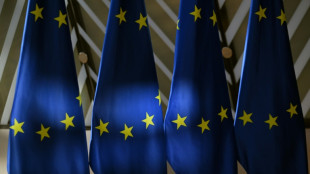 UE revela plano de or&ccedil;amento e inicia per&iacute;odo complexo de negocia&ccedil;&otilde;es