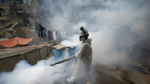 Con brigadas sanitarias, Per&uacute; busca controlar dengue que deja 79 muertos y 73 mil contagios