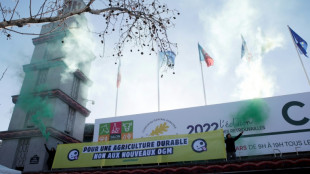 Europa busca aliviar las restricciones para cultivos gen&eacute;ticamente modificados