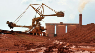 Emirates mining company challenges Guinea licence withdrawal