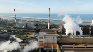 A Dunkerque, l'&eacute;lectricit&eacute; &eacute;tend sa toile pour verdir l'industrie