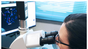 Guarigione accelerata grazie a cellule immunitarie riprogrammate