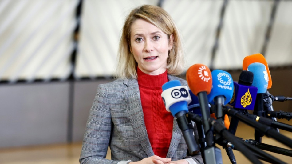 Iran : l'UE d&eacute;signe les Gardiens de la R&eacute;volution comme organisation terroriste