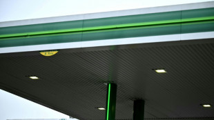 BP cambia de rumbo en su estrategia clim&aacute;tica y apuesta por los hidrocarburos