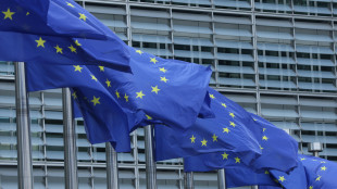 Ue, 'senza Ets consumi per 100 mld di metri cubi in pi&ugrave; di gas, sistema funziona'