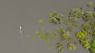 Activit&eacute;s humaines et changement climatique menacent les zones humides les mieux pr&eacute;serv&eacute;es d'&Eacute;quateur