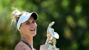 Tennis: Berlin-Siegerin Vondrousova springt um 91 Pl&auml;tze