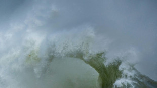 La superficie de los oc&eacute;anos alcanza una temperatura r&eacute;cord 