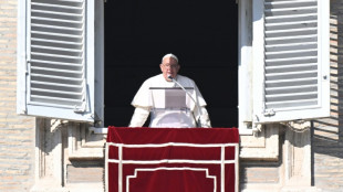 Papa pede investiga&ccedil;&atilde;o sobre &lsquo;genod&iacute;cio&rsquo; em Gaza