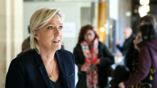 Proc&egrave;s RN: Marine Le Pen va conna&icirc;tre la date de la d&eacute;cision en appel