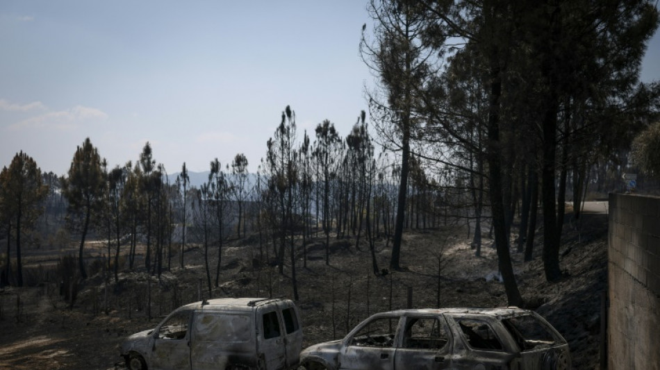 Le Portugal lutte toujours contre des feux de for&ecirc;ts d&eacute;vastateurs