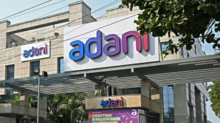 El grupo indio Adani reconoce p&eacute;rdidas burs&aacute;tiles de 55.000 millones de d&oacute;lares tras la acusaci&oacute;n contra su fundador