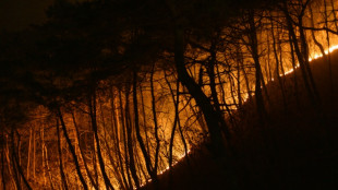 Coreia do Sul luta contra inc&ecirc;ndios mais letais da hist&oacute;ria do pa&iacute;s