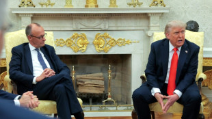 Germany's Merz meets Trump for talks eclipsed by Iran war