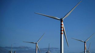 Las soluciones contra el cambio clim&aacute;tico a veces no son las mejores para la biodiversidad