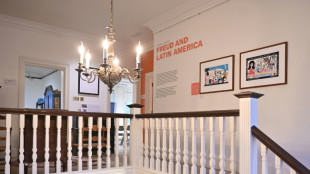 Museu Freud de Londres percorre la&ccedil;os do pai da psican&aacute;lise com a Am&eacute;rica Latina