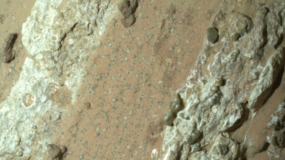 Martian rocks offer clues that might indicate ancient life