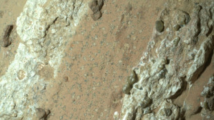 Speckled Martian rocks 'clearest sign' yet of ancient life