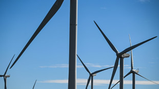 Pour prot&eacute;ger les oiseaux, la justice met &agrave; l'arr&ecirc;t un deuxi&egrave;me parc &eacute;olien en trois jours