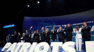 Europe far-right surge masks divisions