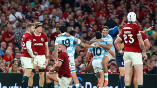 Lions slump to warm-up defeat by Argentina 
