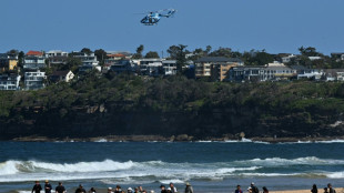 Un surfeur tué par un "grand requin" en Australie