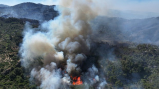 Feux de forêts: la Syrie appelle l'UE à l'aide