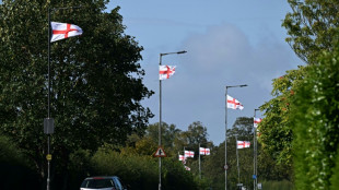 En Angleterre, les drapeaux nationaux foisonnent, port&eacute;s par un vent anti-immigration