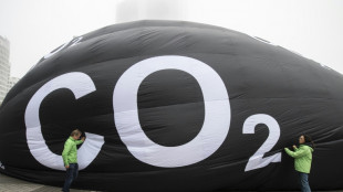 &iquest;La COP28 puede salvar los controvertidos cr&eacute;ditos carbono?