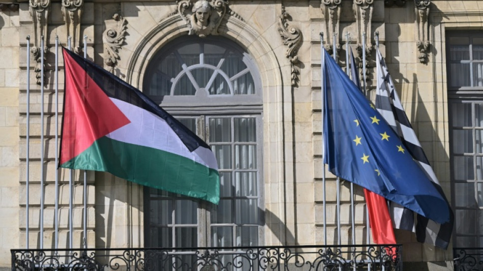 Decenas de alcald&iacute;as en Francia desoyen al gobierno e izan la bandera palestina