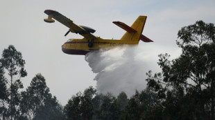 Thousands flee new wave of European wildfires