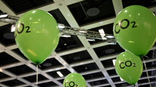 UE: les 27 d&eacute;termin&eacute;s &agrave; verdir leurs importations, divis&eacute;s sur l'&eacute;nergie