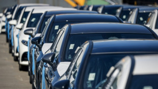 Erneut deutlicher Anstieg der Pkw-Neuzulassungen - Markt f&uuml;r E-Autos w&auml;chst stark